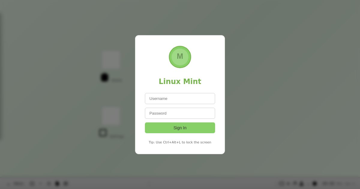Screenshot of the Mint demo